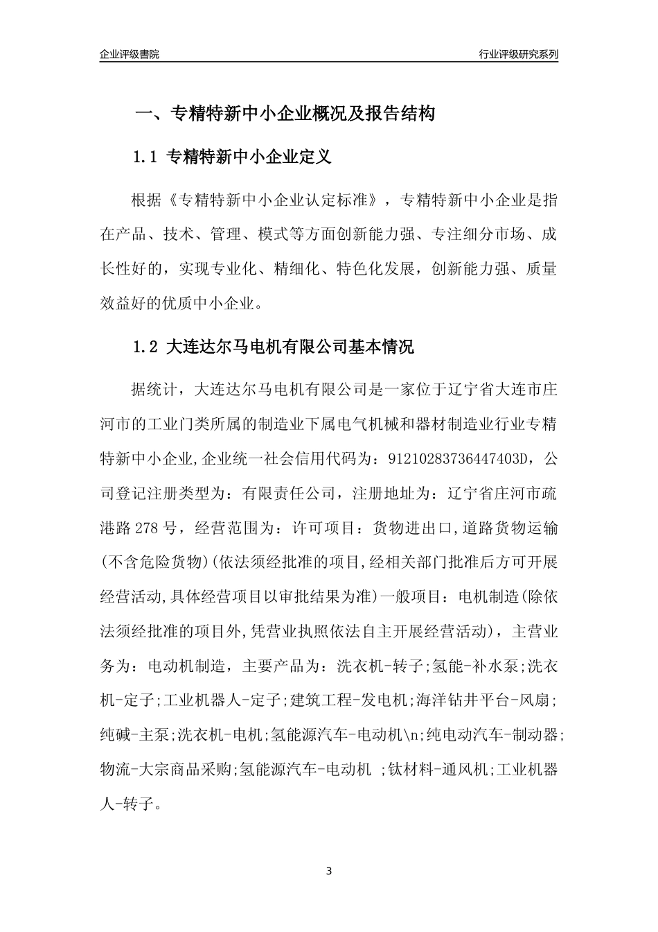 [专精特新]大连达尔马电机有限公司行业竞争力评级分析报告(2023版)_第3页
