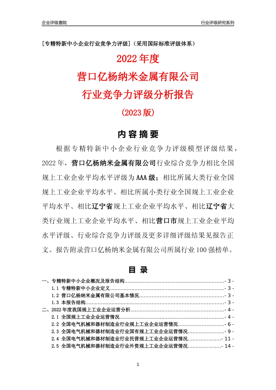 [专精特新]营口亿杨纳米金属有限公司行业竞争力评级分析报告(2023版)_第1页