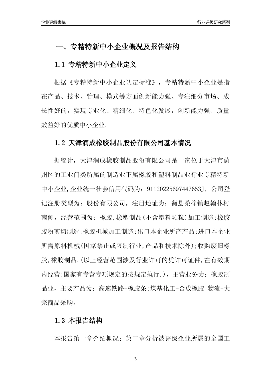 [专精特新]天津润成橡胶制品股份有限公司行业竞争力评级分析报告(2023版)_第3页