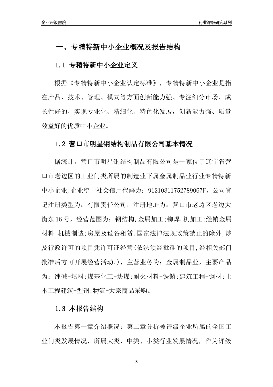 [专精特新]营口市明星钢结构制品有限公司行业竞争力评级分析报告(2023版)_第3页
