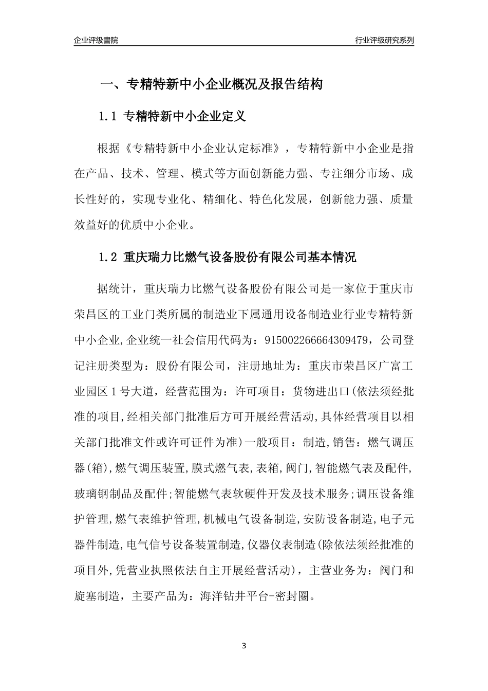 [专精特新]重庆瑞力比燃气设备股份有限公司行业竞争力评级分析报告(2023版)_第3页