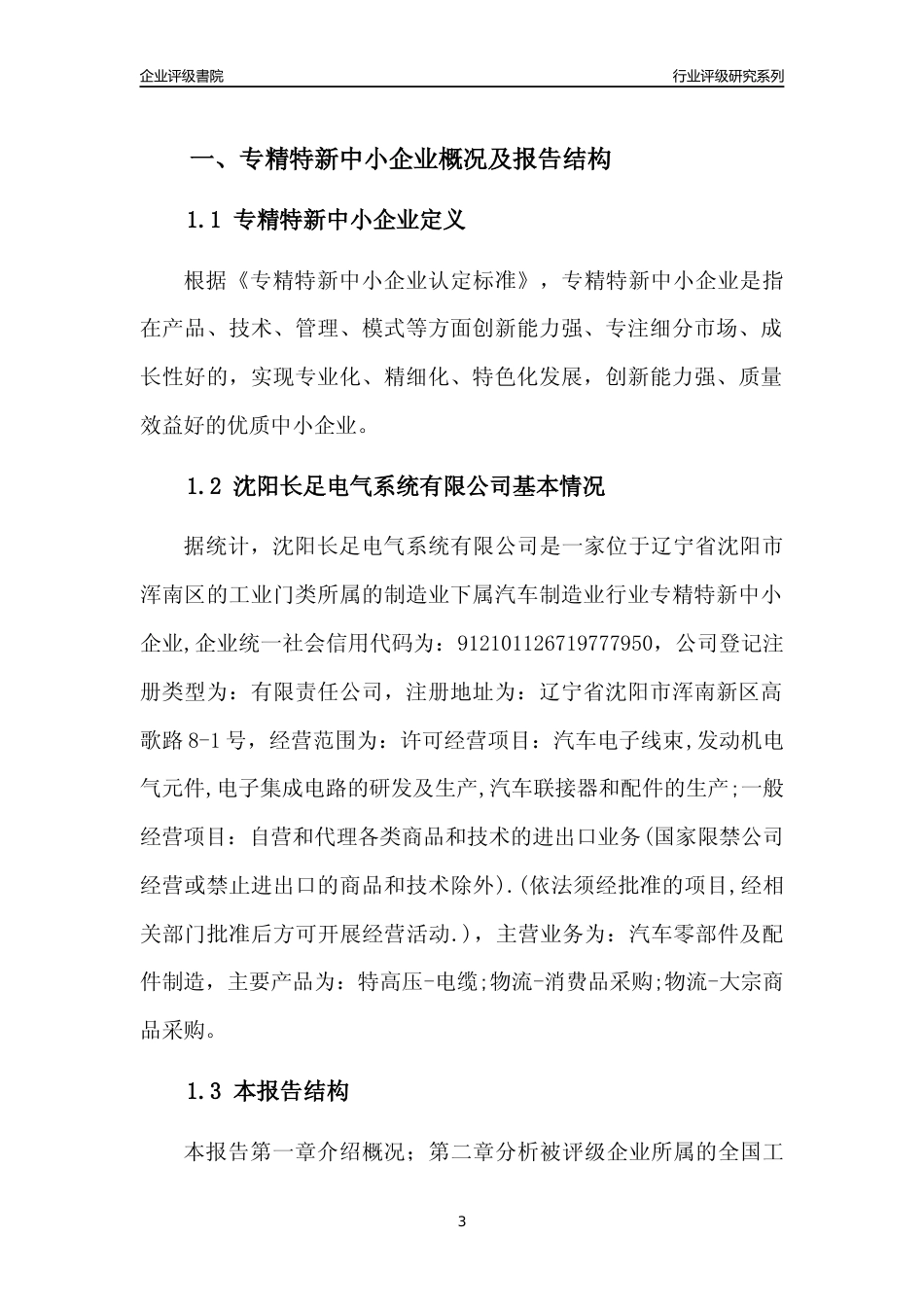 [专精特新]沈阳长足电气系统有限公司行业竞争力评级分析报告(2023版)_第3页