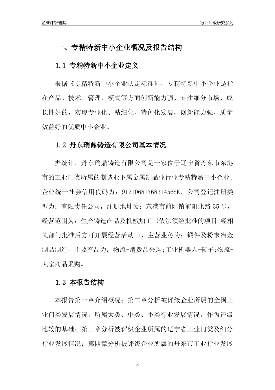 [专精特新]丹东瑞鼎铸造有限公司行业竞争力评级分析报告(2023版)_第3页