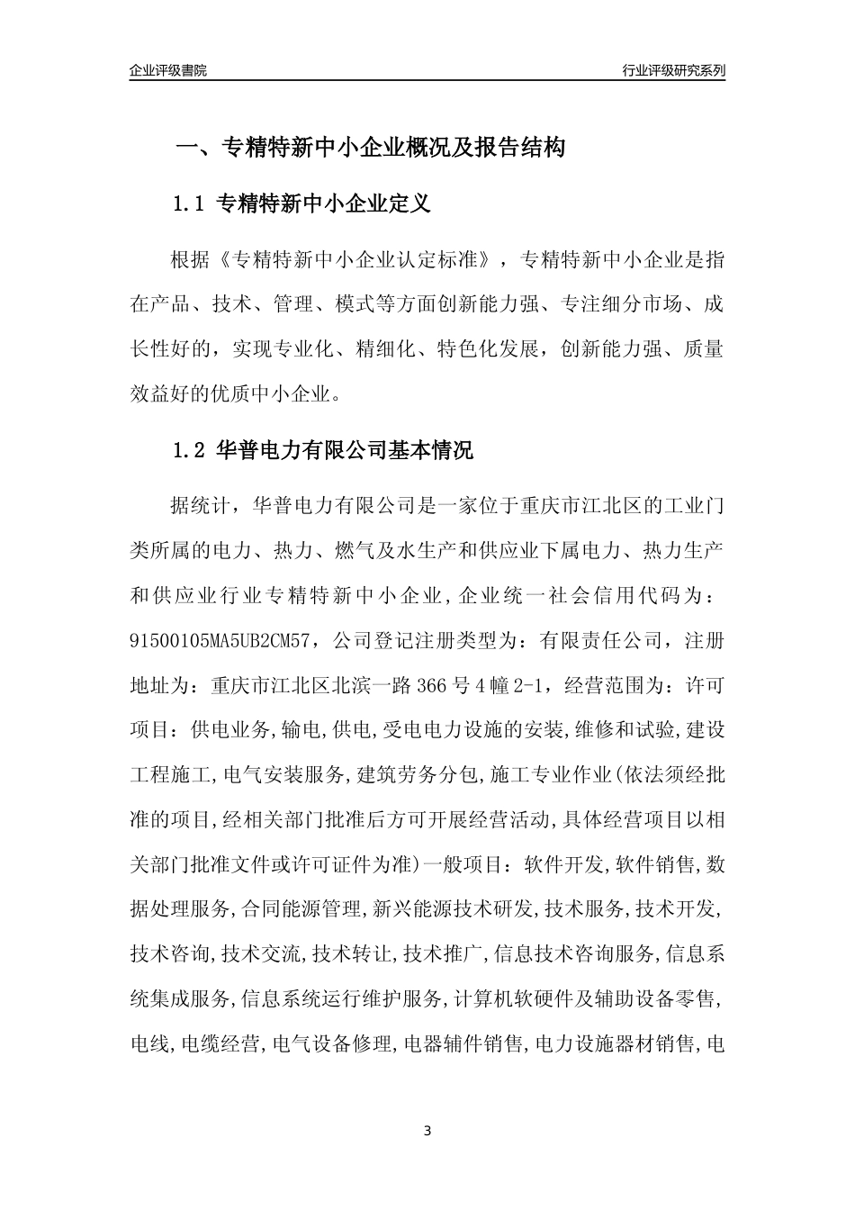 [专精特新]华普电力有限公司行业竞争力评级分析报告(2023版)_第3页