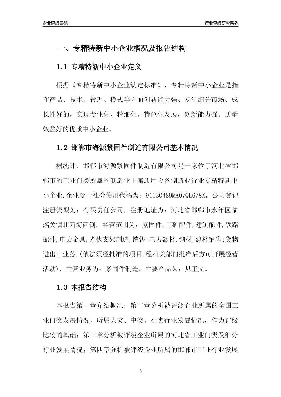 [专精特新]邯郸市海源紧固件制造有限公司行业竞争力评级分析报告(2023版)_第3页