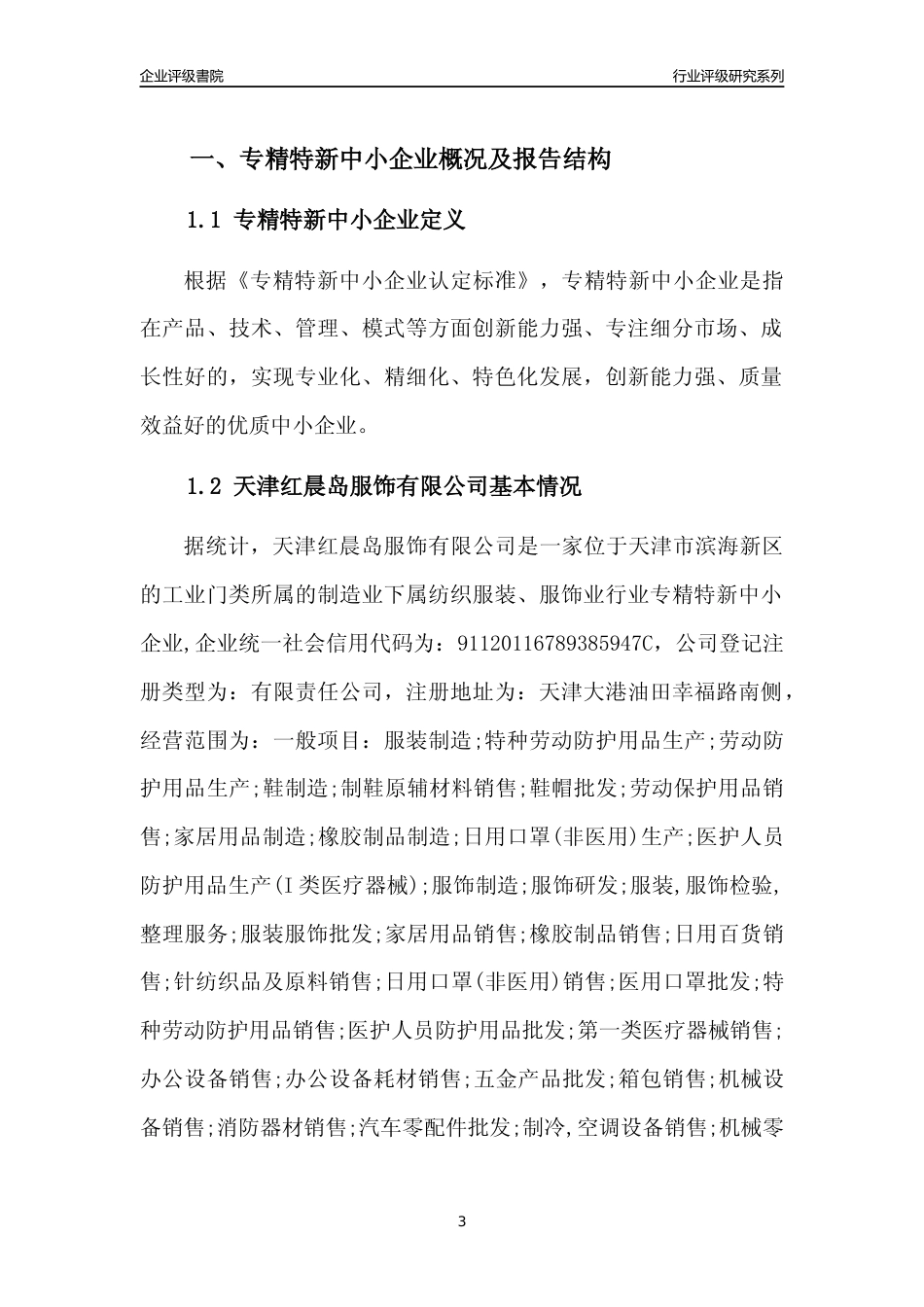 [专精特新]天津红晨岛服饰有限公司行业竞争力评级分析报告(2023版)_第3页