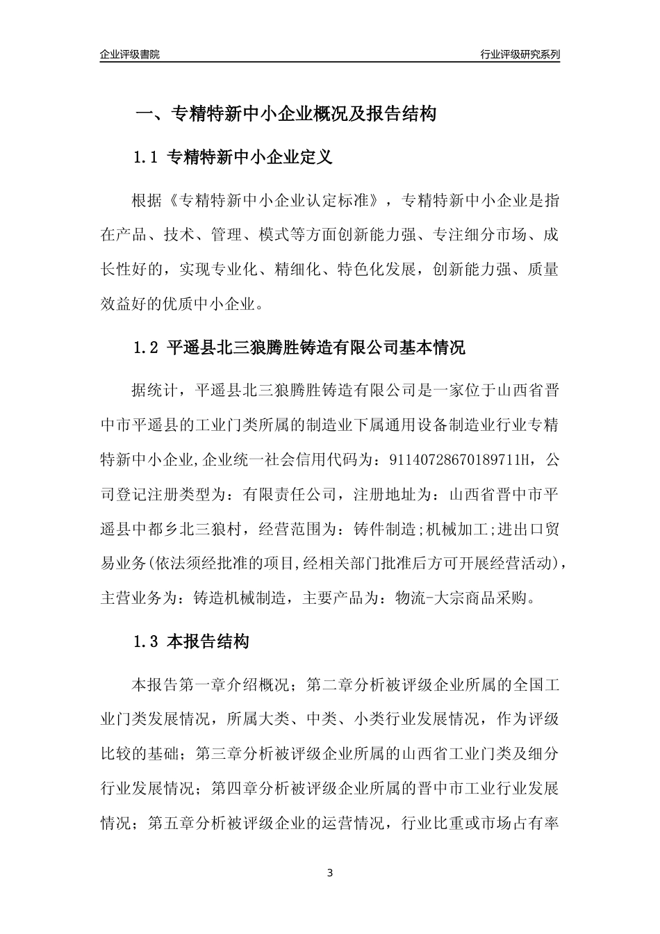 [专精特新]平遥县北三狼腾胜铸造有限公司行业竞争力评级分析报告(2023版)_第3页