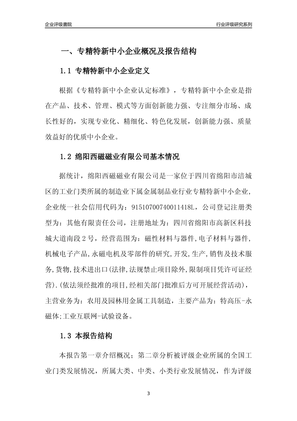 [专精特新]绵阳西磁磁业有限公司行业竞争力评级分析报告(2023版)_第3页