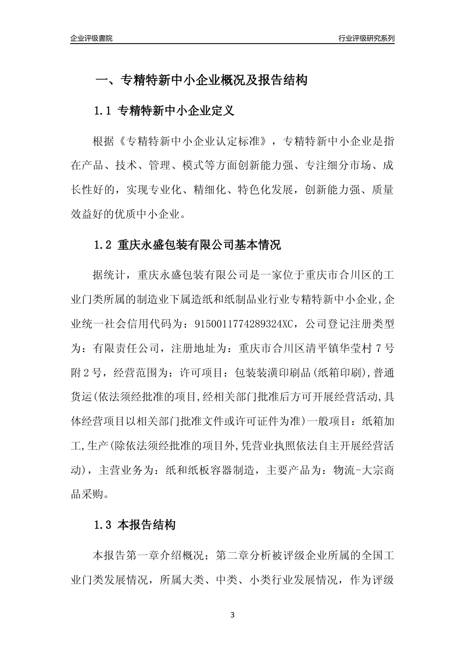 [专精特新]重庆永盛包装有限公司行业竞争力评级分析报告(2023版)_第3页