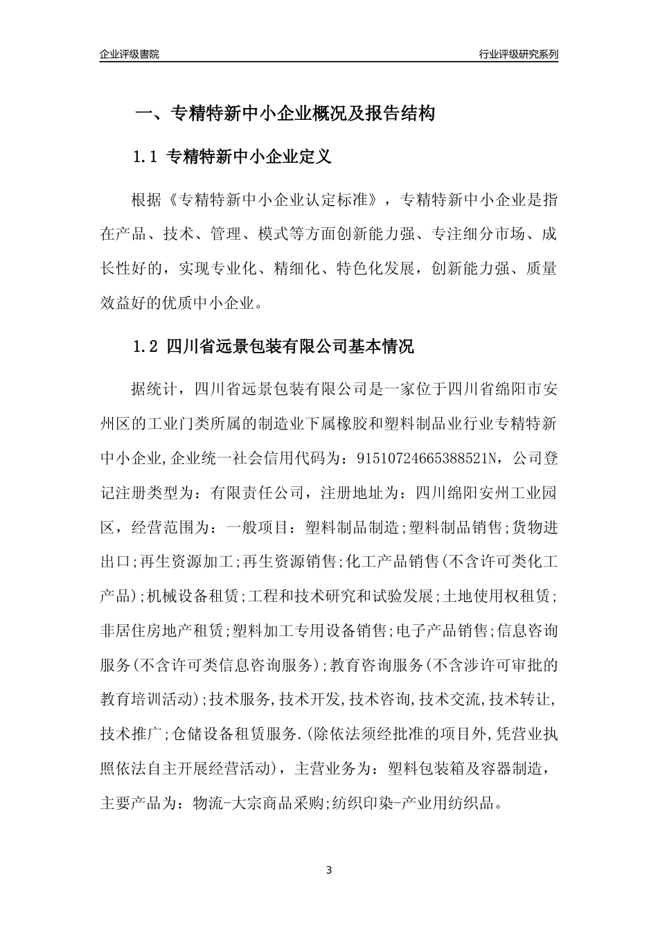 [专精特新]四川省远景包装有限公司行业竞争力评级分析报告(2023版)_第3页