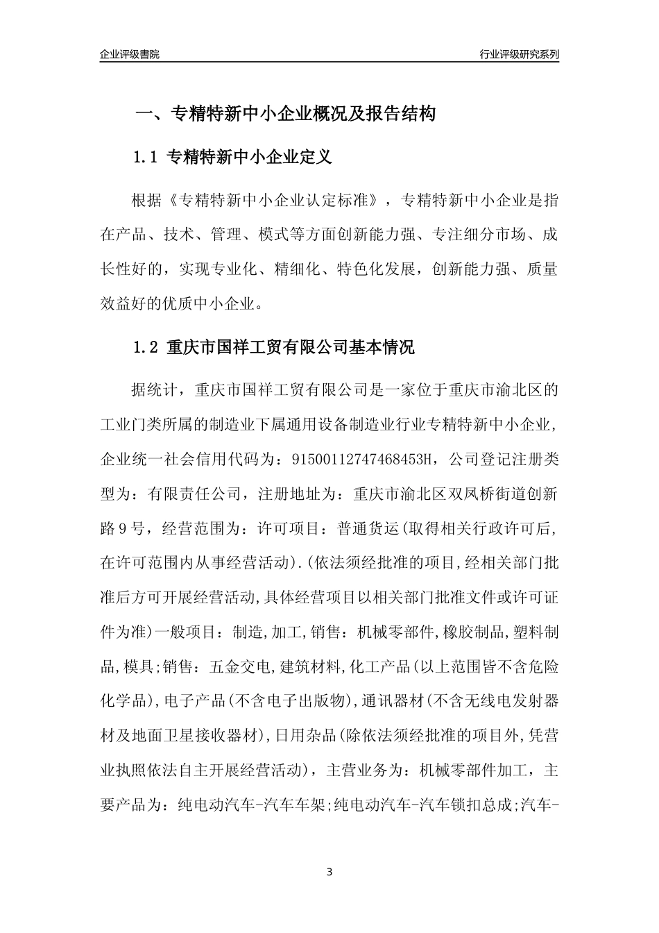 [专精特新]重庆市国祥工贸有限公司行业竞争力评级分析报告(2023版)_第3页