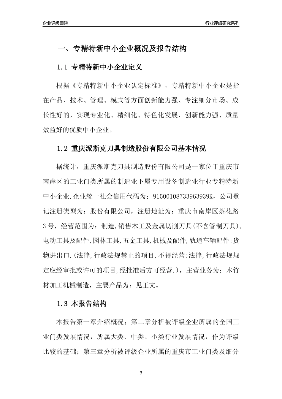 [专精特新]重庆派斯克刀具制造股份有限公司行业竞争力评级分析报告(2023版)_第3页
