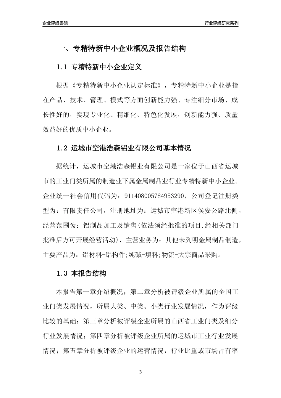 [专精特新]运城市空港浩森铝业有限公司行业竞争力评级分析报告(2023版)_第3页
