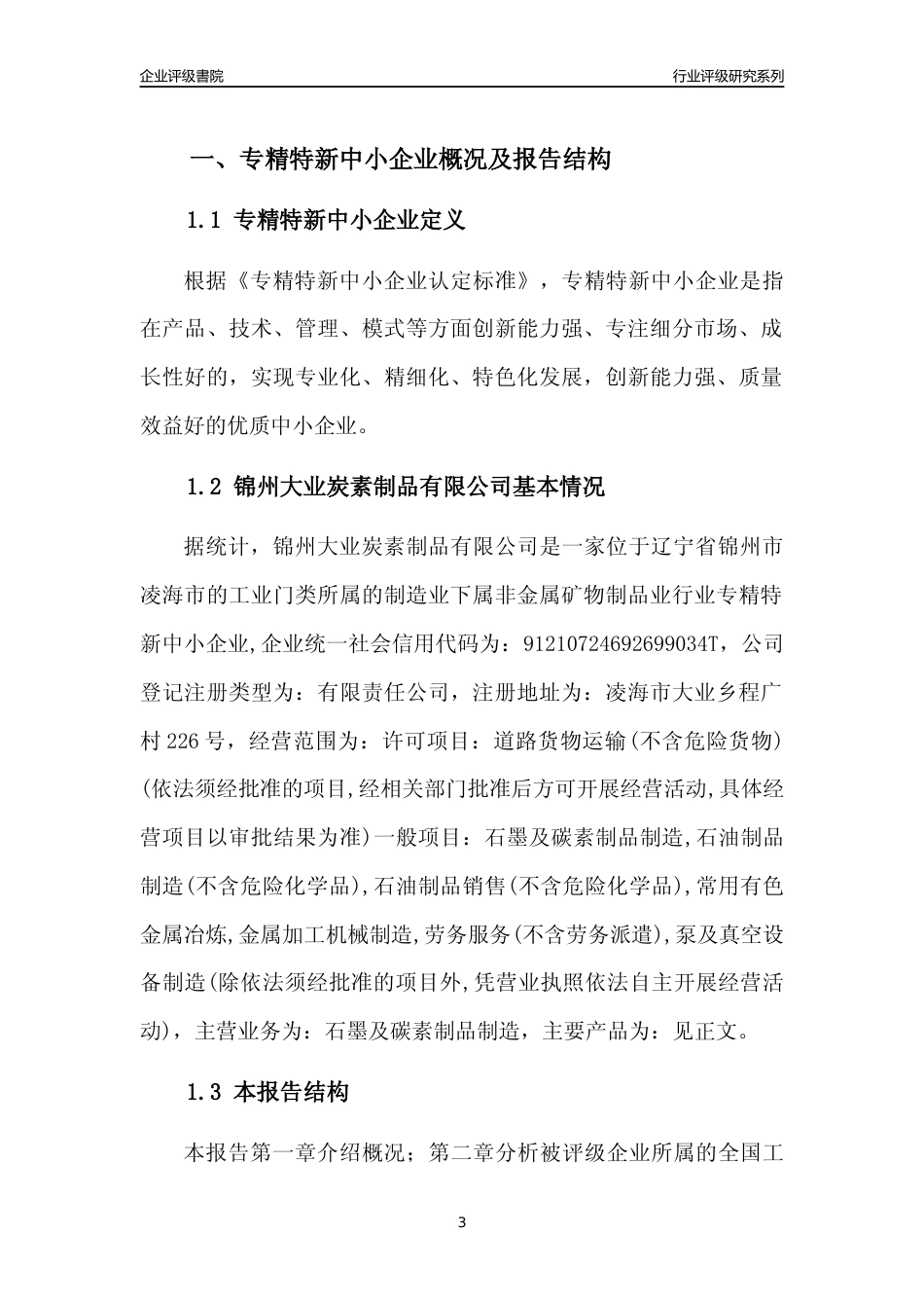 [专精特新]锦州大业炭素制品有限公司行业竞争力评级分析报告(2023版)_第3页