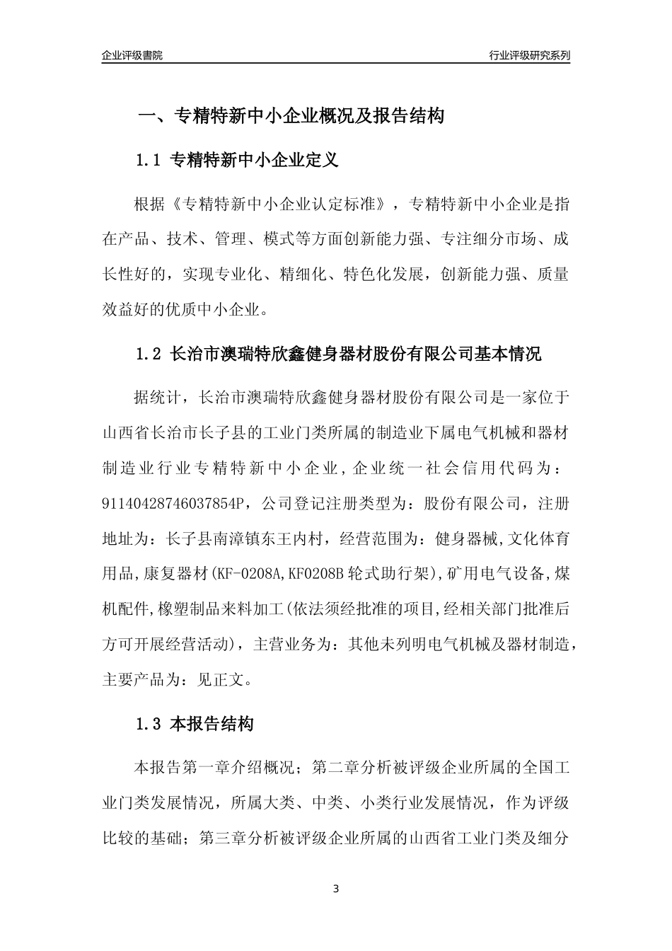 [专精特新]长治市澳瑞特欣鑫健身器材股份有限公司行业竞争力评级分析报告(2023版)_第3页