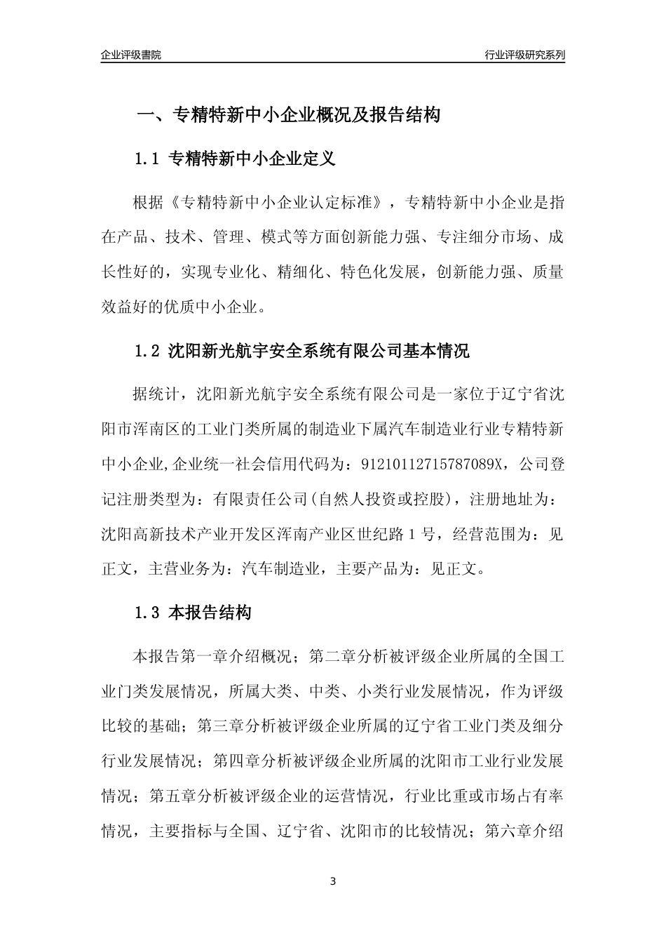 [专精特新]沈阳新光航宇安全系统有限公司行业竞争力评级分析报告(2023版)_第3页