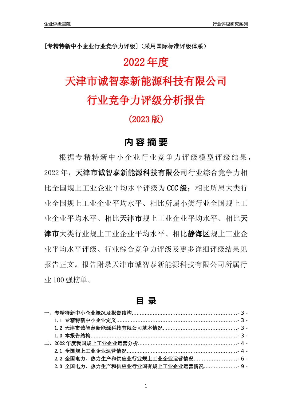[专精特新]天津市诚智泰新能源科技有限公司行业竞争力评级分析报告(2023版)_第1页