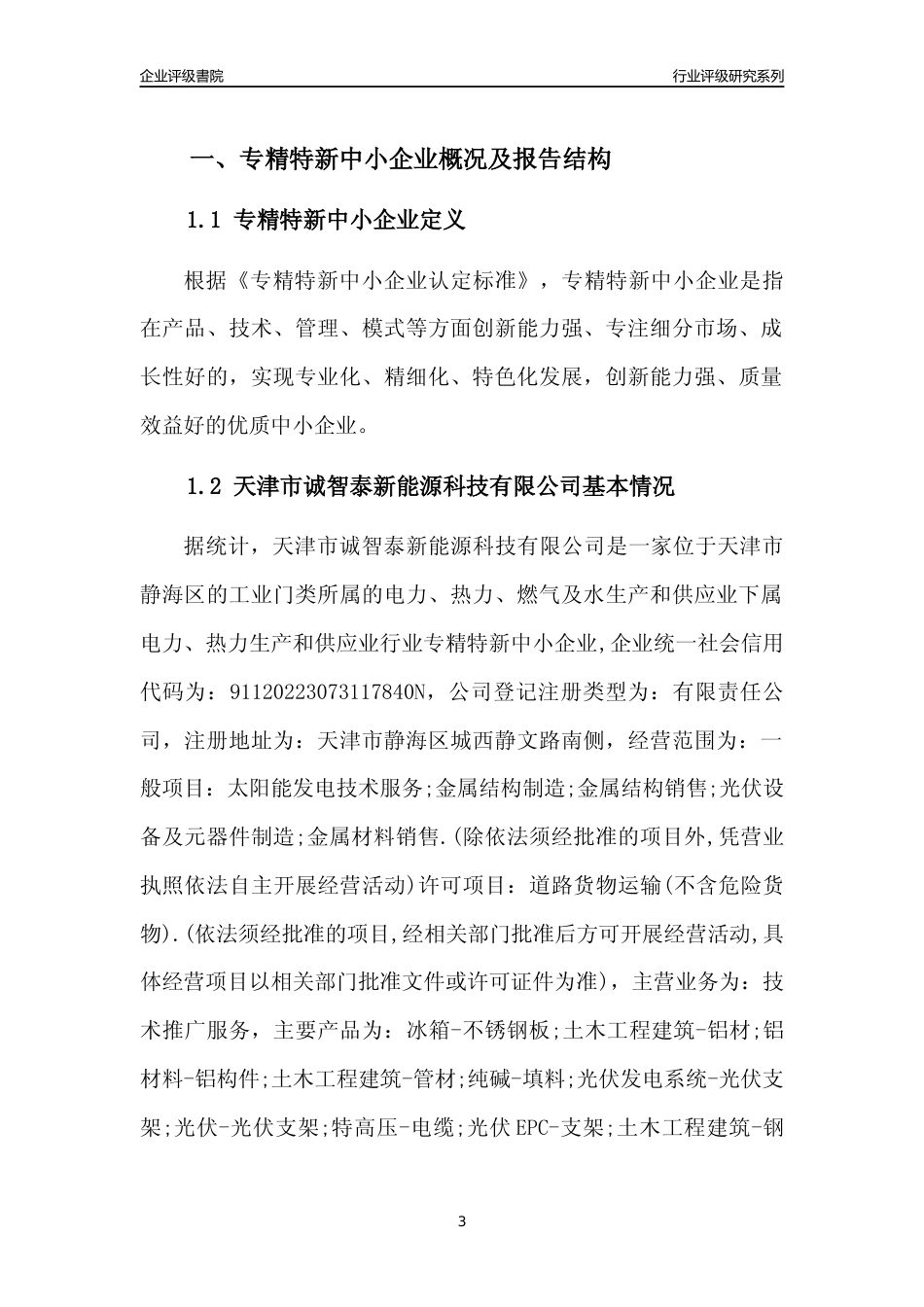[专精特新]天津市诚智泰新能源科技有限公司行业竞争力评级分析报告(2023版)_第3页