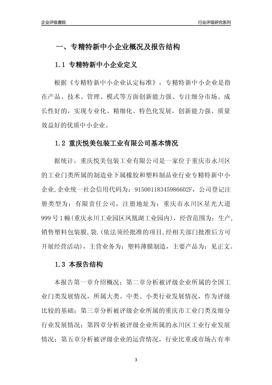 [专精特新]重庆悦美包装工业有限公司行业竞争力评级分析报告(2023版)_第3页