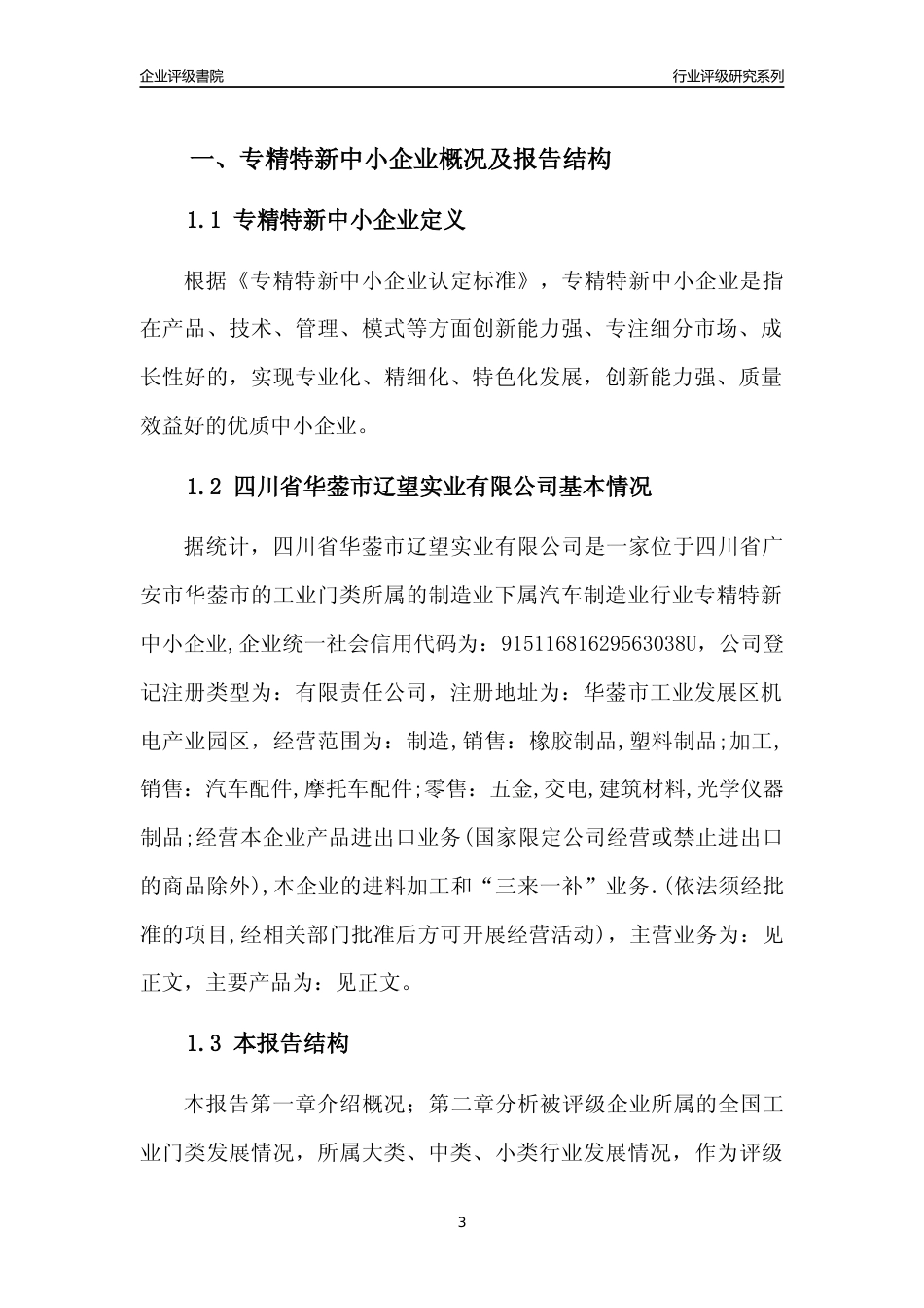[专精特新]四川省华蓥市辽望实业有限公司行业竞争力评级分析报告(2023版)_第3页