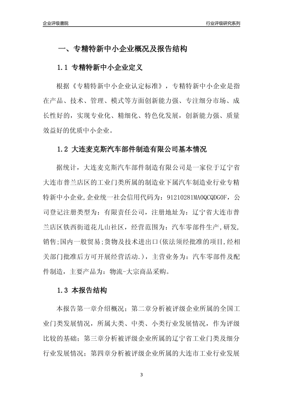 [专精特新]大连麦克斯汽车部件制造有限公司行业竞争力评级分析报告(2023版)_第3页