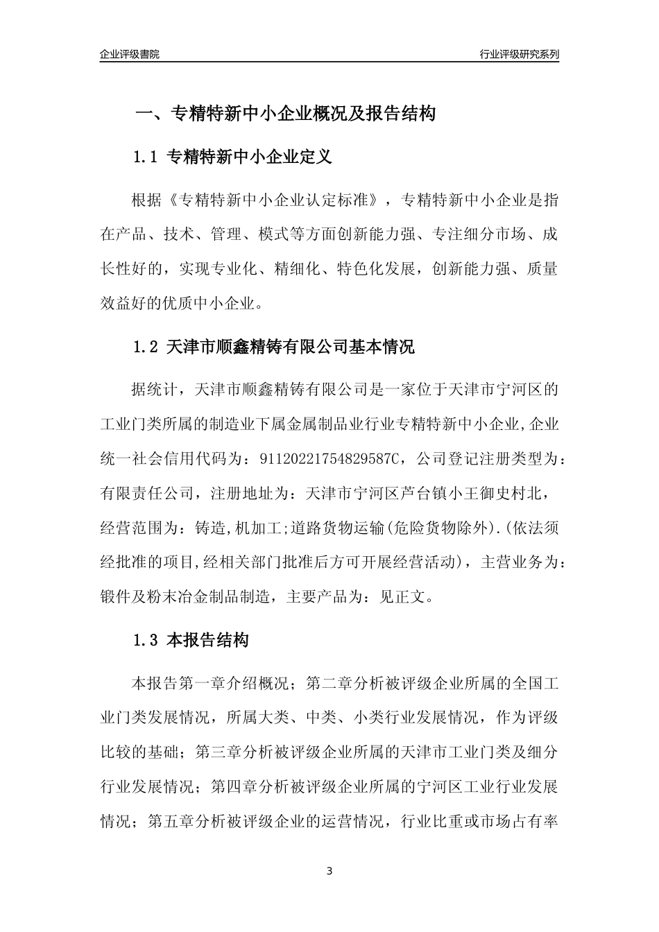 [专精特新]天津市顺鑫精铸有限公司行业竞争力评级分析报告(2023版)_第3页