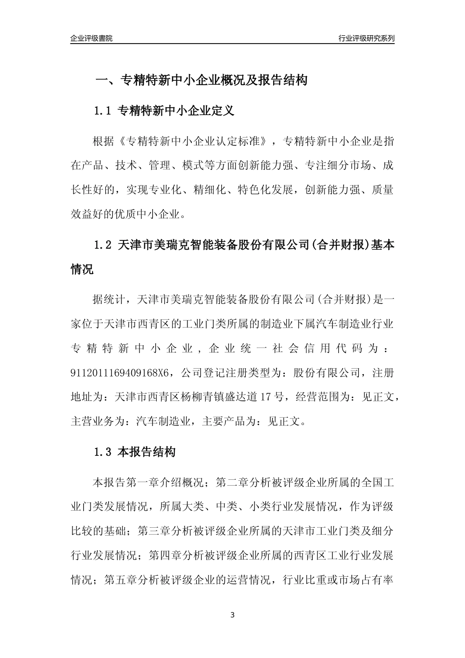 [专精特新]天津市美瑞克智能装备股份有限公司(合并财报)行业竞争力评级分析报告(2023版)_第3页