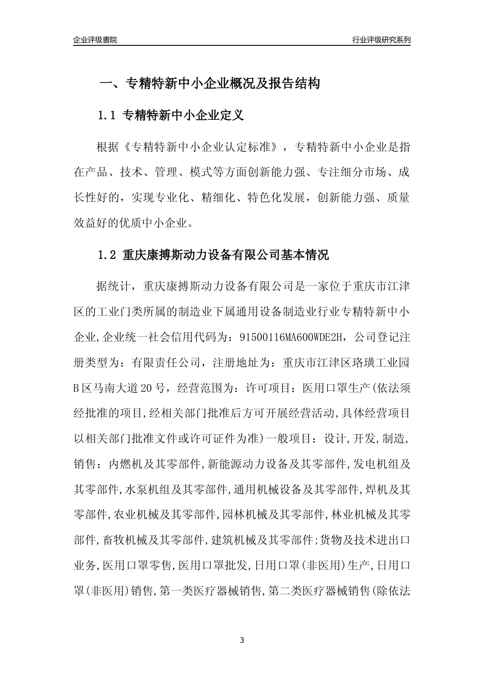 [专精特新]重庆康搏斯动力设备有限公司行业竞争力评级分析报告(2023版)_第3页