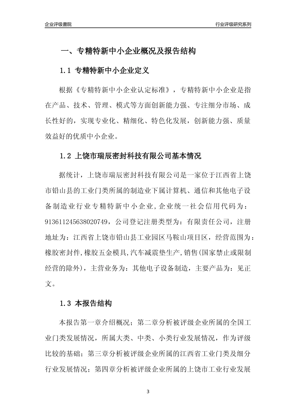 [专精特新]上饶市瑞辰密封科技有限公司行业竞争力评级分析报告(2023版)_第3页