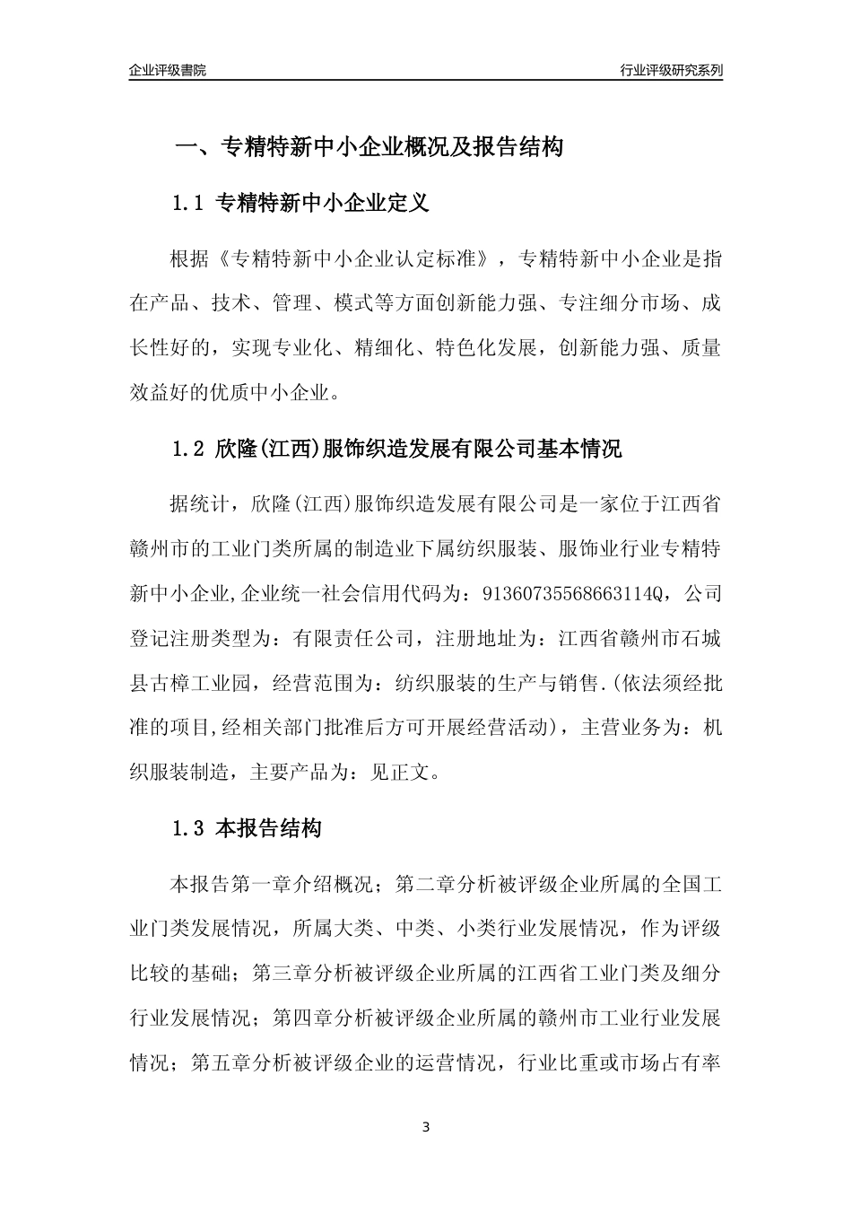 [专精特新]欣隆(江西)服饰织造发展有限公司行业竞争力评级分析报告(2023版)_第3页