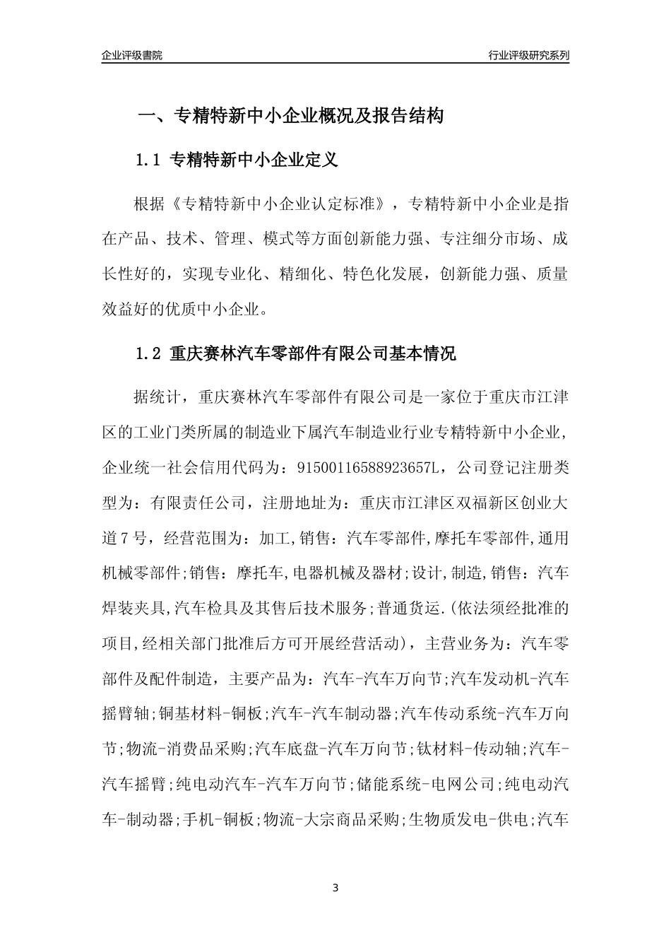 [专精特新]重庆赛林汽车零部件有限公司行业竞争力评级分析报告(2023版)_第3页