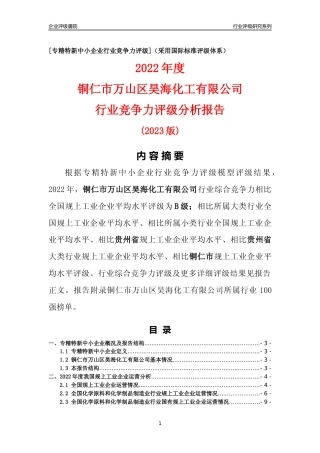 [专精特新]铜仁市万山区昊海化工有限公司行业竞争力评级分析报告(2023版)