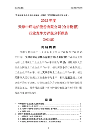 [专精特新]天津中环电炉股份有限公司(合并财报)行业竞争力评级分析报告(2023版)