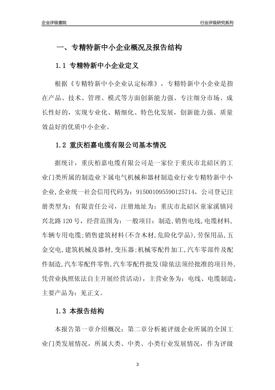 [专精特新]重庆栢嘉电缆有限公司行业竞争力评级分析报告(2023版)_第3页