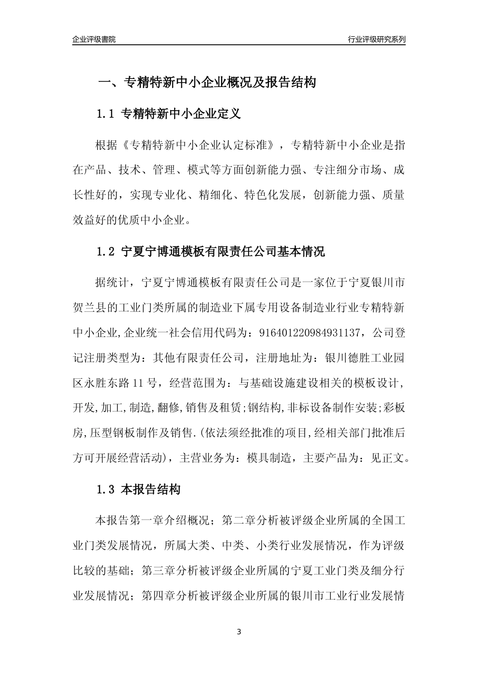 [专精特新]宁夏宁博通模板有限责任公司行业竞争力评级分析报告(2023版)_第3页