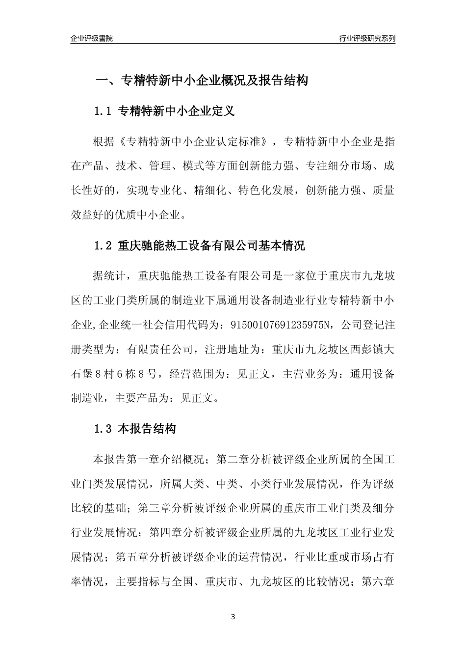[专精特新]重庆驰能热工设备有限公司行业竞争力评级分析报告(2023版)_第3页
