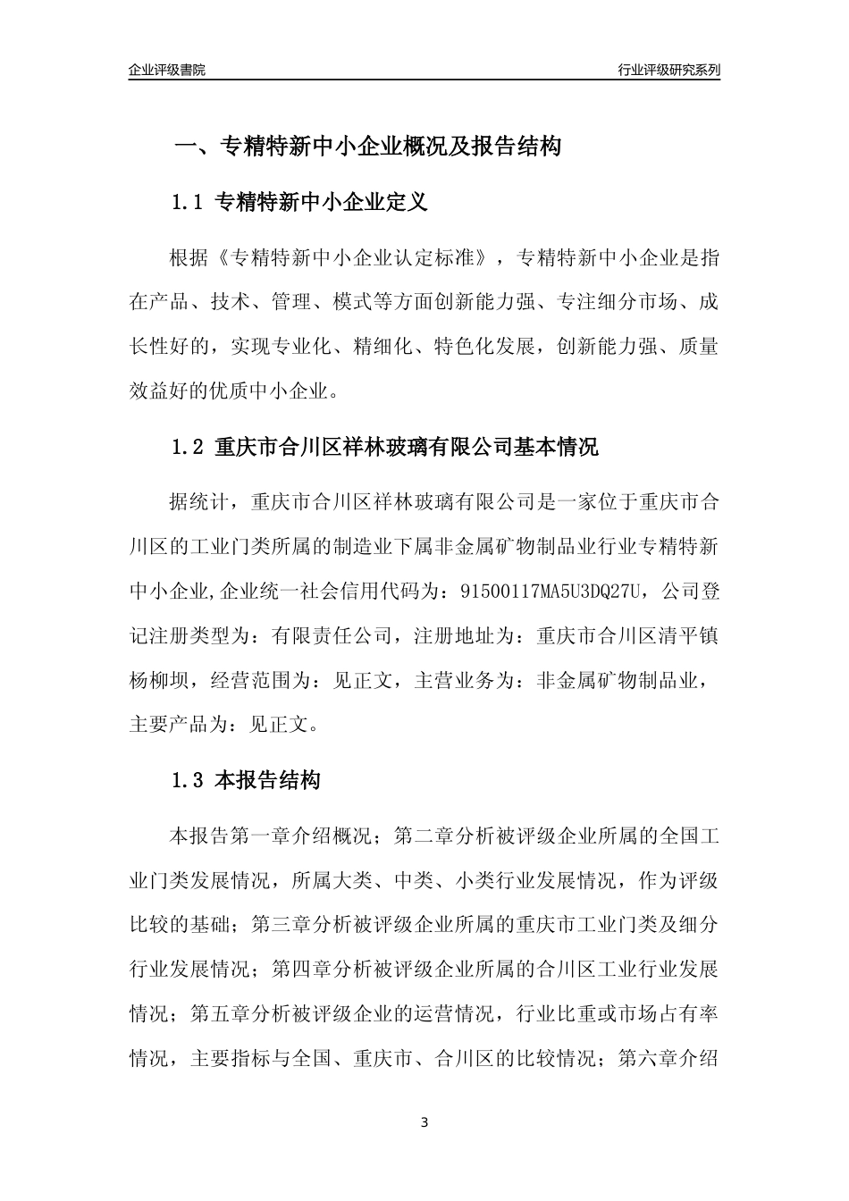 [专精特新]重庆市合川区祥林玻璃有限公司行业竞争力评级分析报告(2023版)_第3页