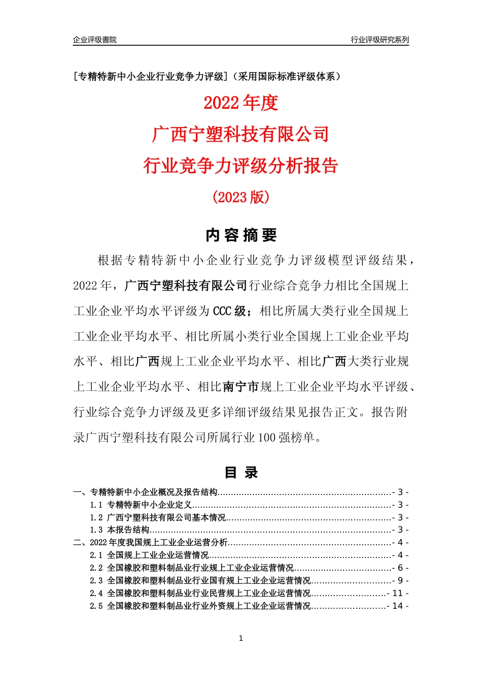 [专精特新]广西宁塑科技有限公司行业竞争力评级分析报告(2023版)_第1页
