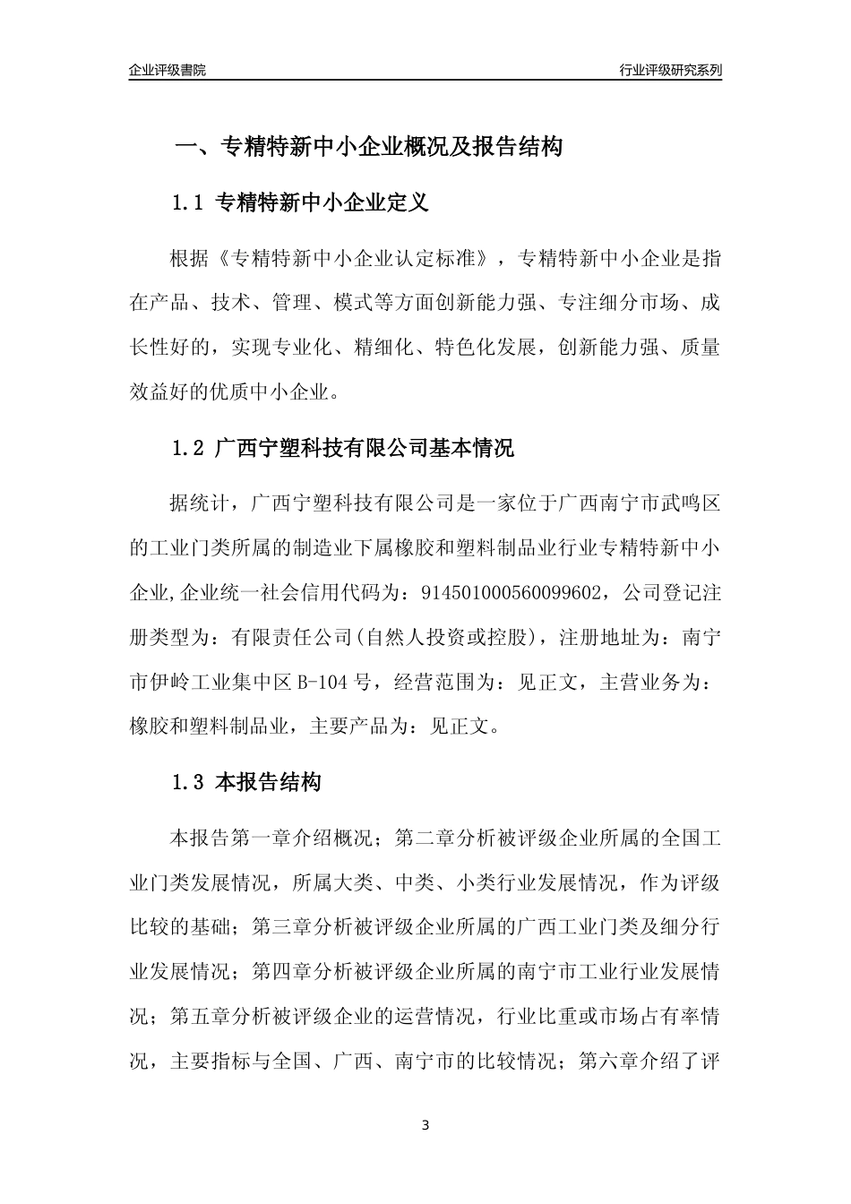 [专精特新]广西宁塑科技有限公司行业竞争力评级分析报告(2023版)_第3页