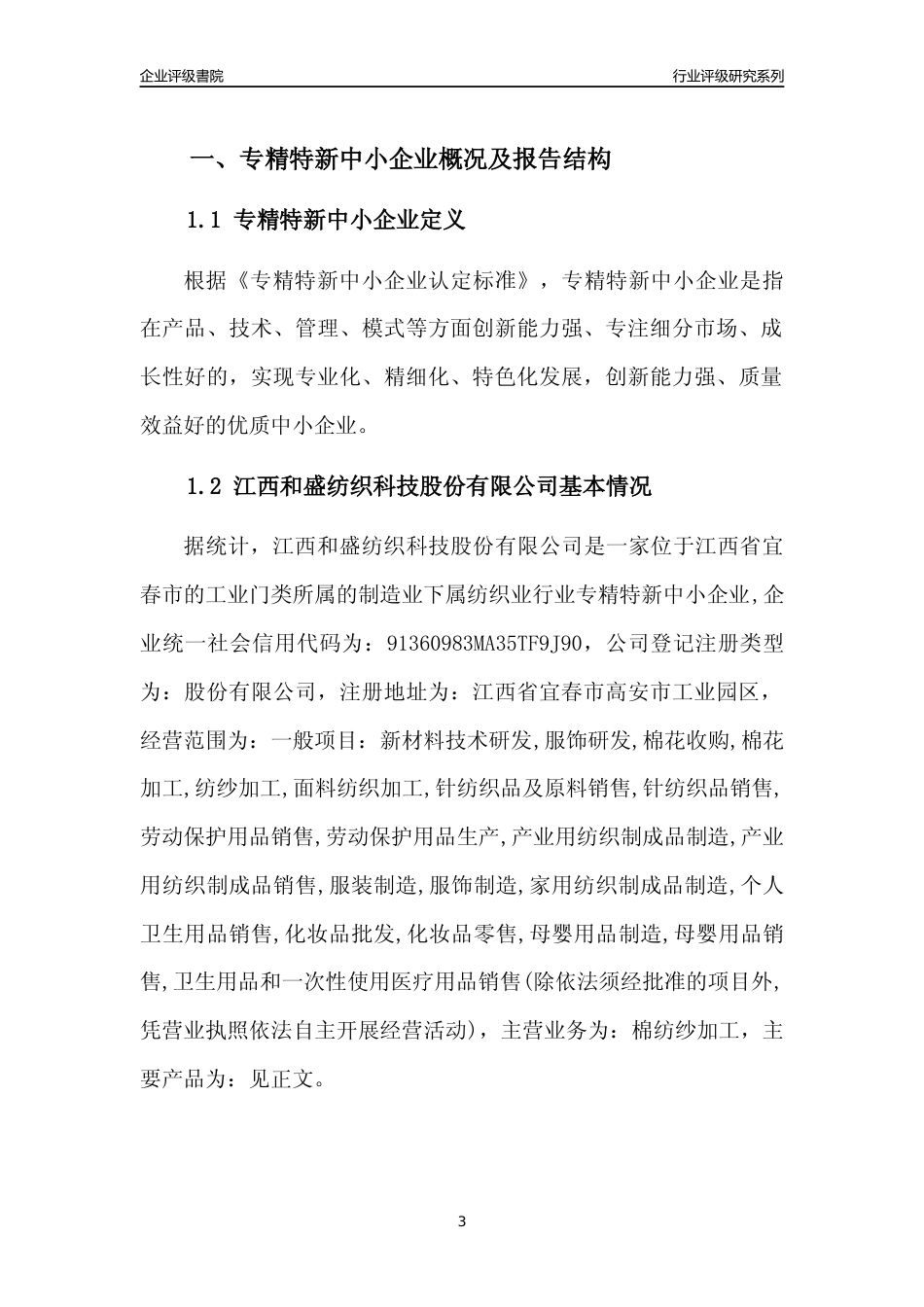 [专精特新]江西和盛纺织科技股份有限公司行业竞争力评级分析报告(2023版)_第3页