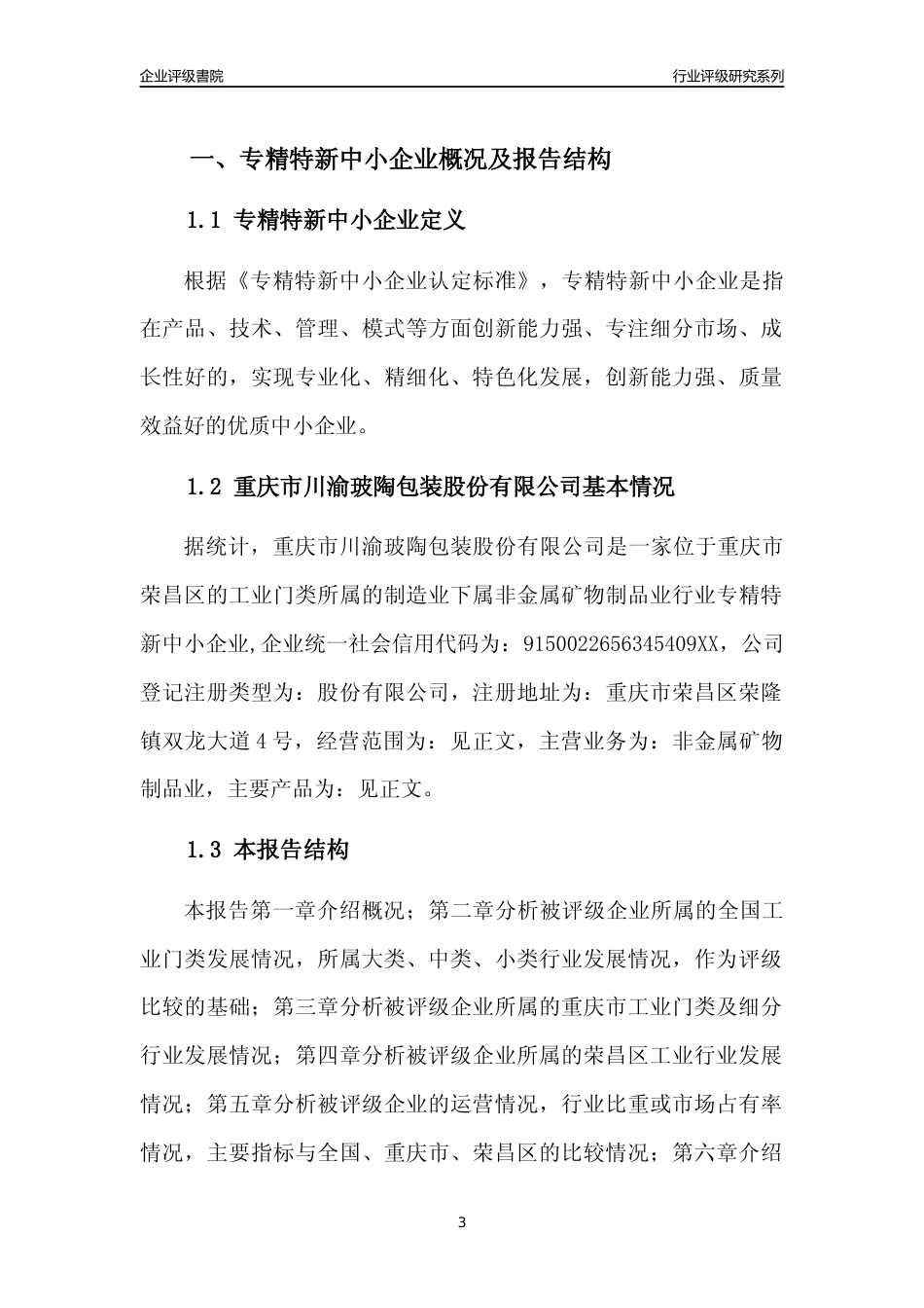 [专精特新]重庆市川渝玻陶包装股份有限公司行业竞争力评级分析报告(2023版)_第3页