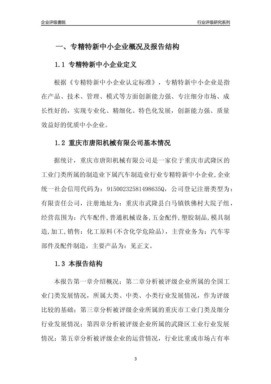 [专精特新]重庆市唐阳机械有限公司行业竞争力评级分析报告(2023版)_第3页