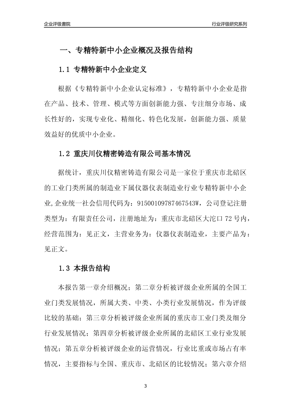 [专精特新]重庆川仪精密铸造有限公司行业竞争力评级分析报告(2023版)_第3页