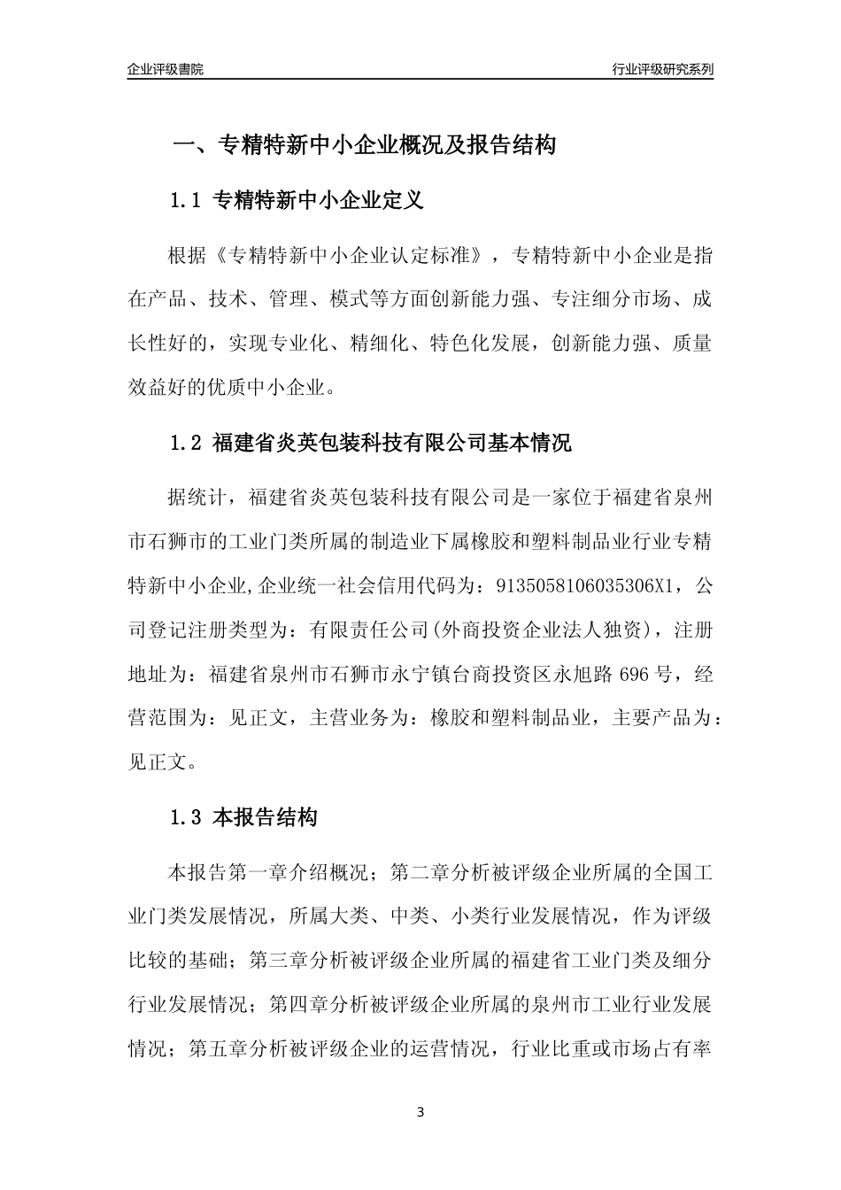 [专精特新]福建省炎英包装科技有限公司行业竞争力评级分析报告(2023版)_第3页