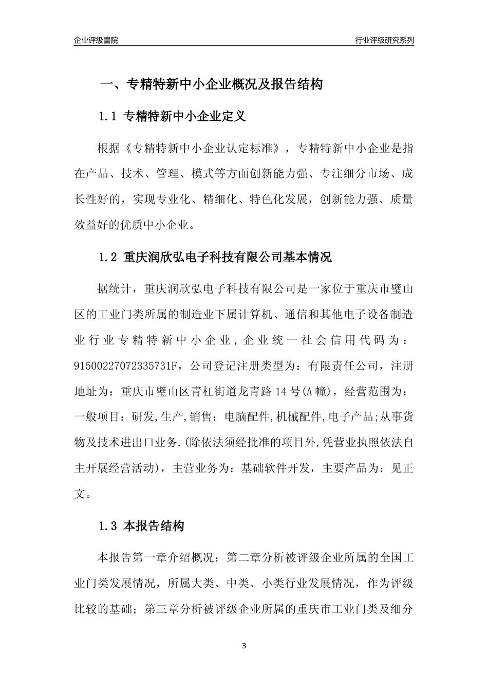 [专精特新]重庆润欣弘电子科技有限公司行业竞争力评级分析报告(2023版)_第3页