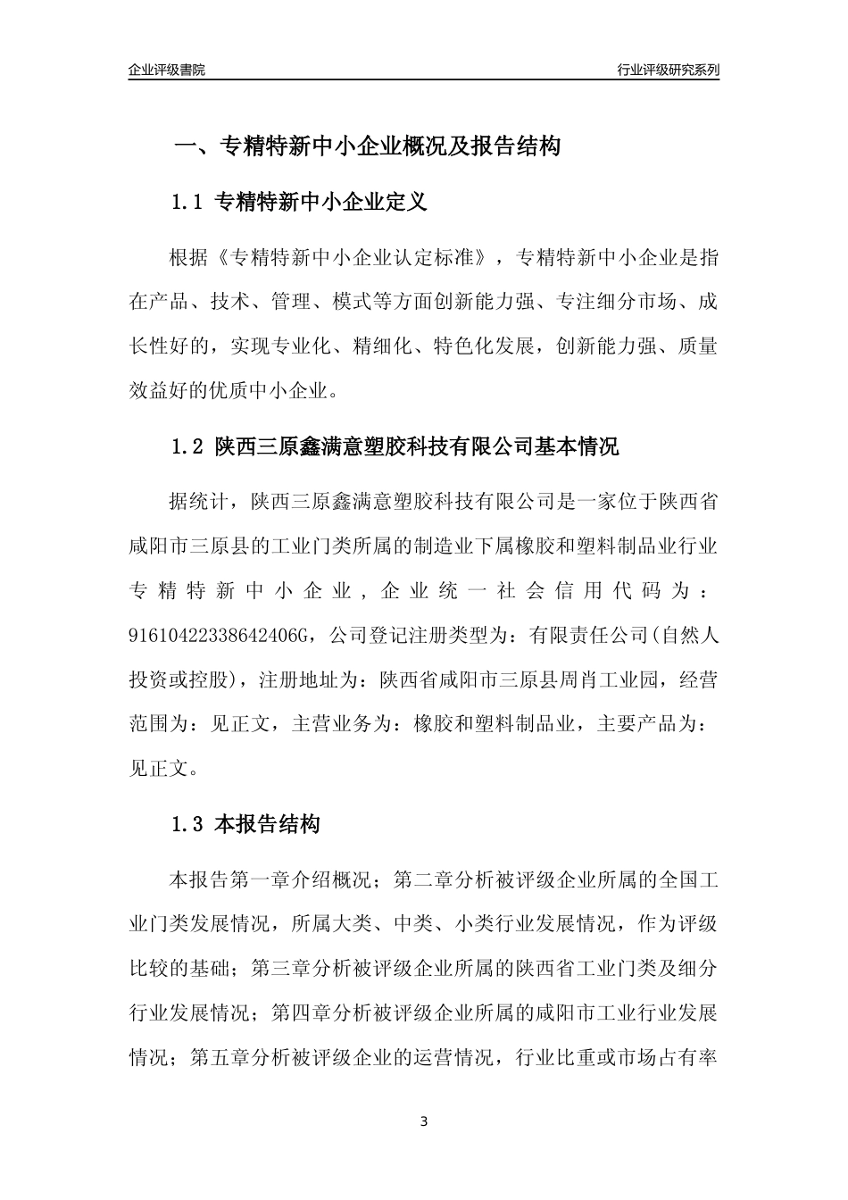 [专精特新]陕西三原鑫满意塑胶科技有限公司行业竞争力评级分析报告(2023版)_第3页