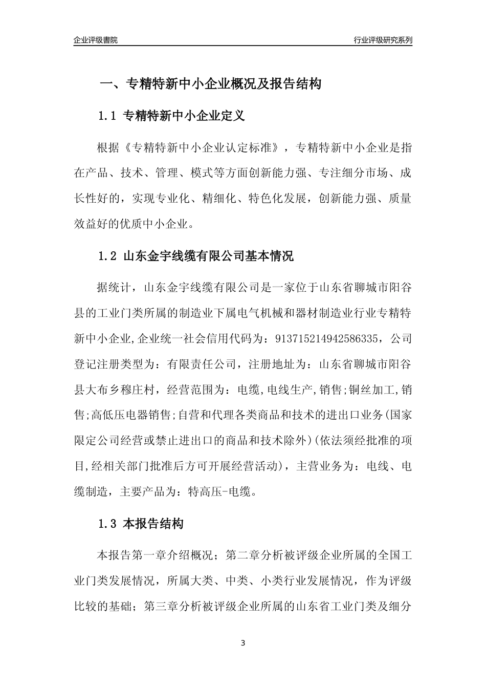[专精特新]山东金宇线缆有限公司行业竞争力评级分析报告(2023版)_第3页