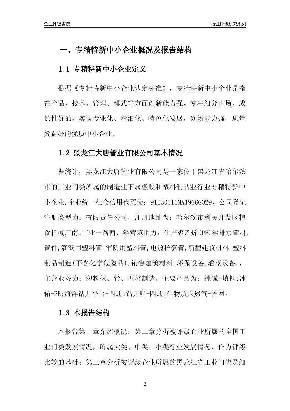 [专精特新]黑龙江大唐管业有限公司行业竞争力评级分析报告(2023版)_第3页