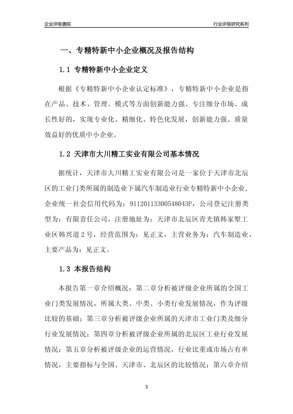 [专精特新]天津市大川精工实业有限公司行业竞争力评级分析报告(2023版)_第3页