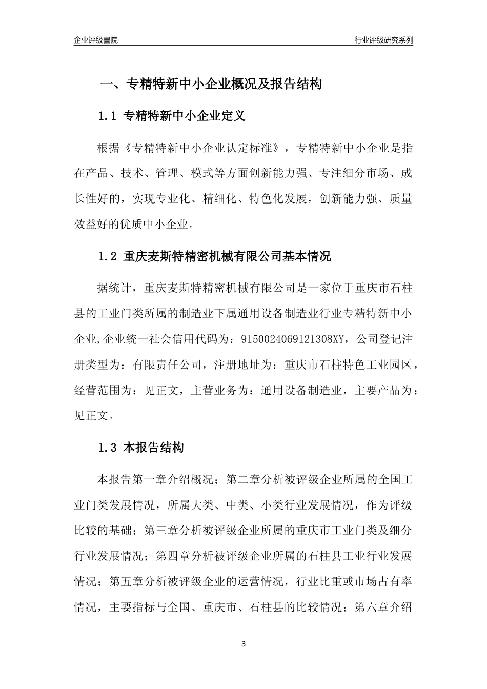 [专精特新]重庆麦斯特精密机械有限公司行业竞争力评级分析报告(2023版)_第3页